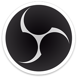 密码保护：OBS启动参数
